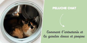 Comment entretenir une peluche chat pour la garder douce et propre ?