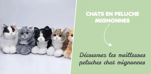 TOP 10 des peluches chats les plus mignonnes à acheter en 2024