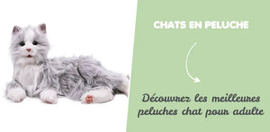 Découvrez les meilleurs chats en peluche pour adulte