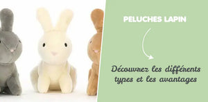 Les peluches lapin à connaître : types, avantages et choix pour bébé !